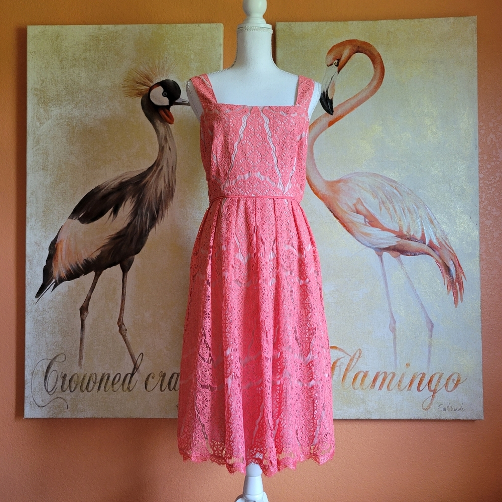 Adrianna Papell Lace Fit and Flare Dress Coral 14 Zipper Sleeveless Spring - Picture 14 of 14